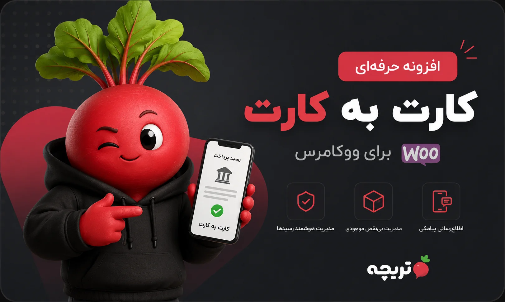 پلاگین کارت به کارت